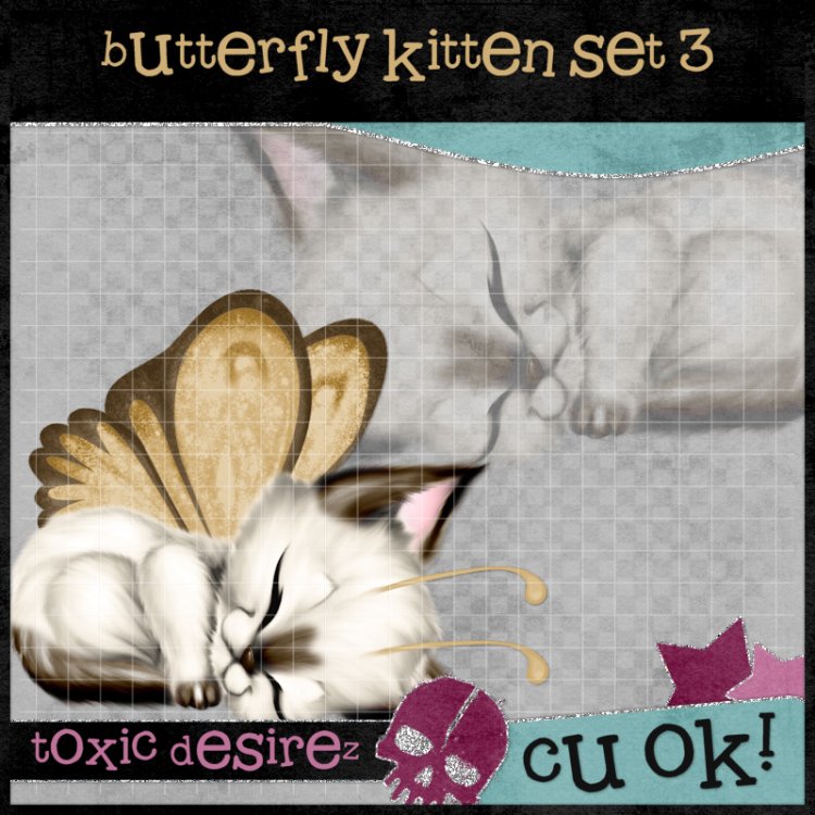 Butterfly Kitten Set 3 - Click Image to Close