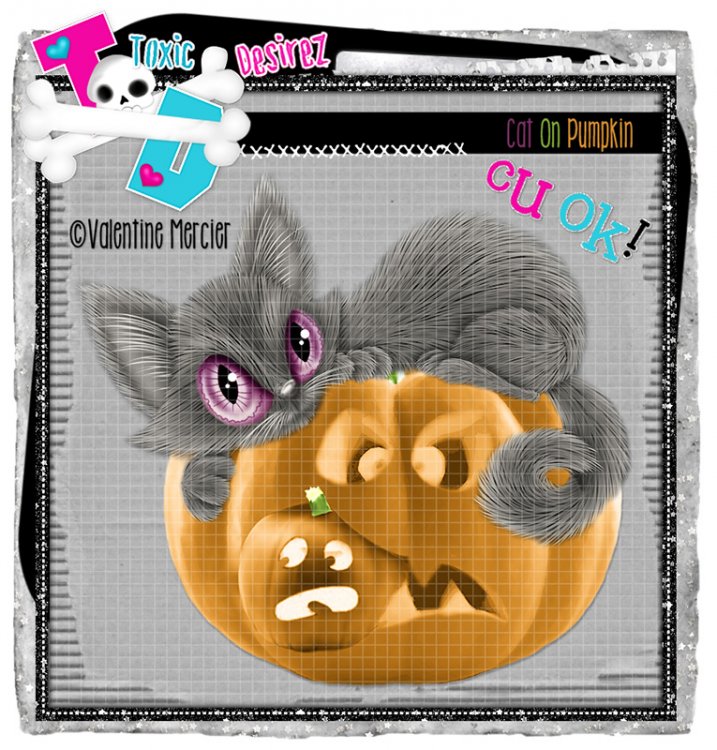 Cat On Pumpkin 3 - Click Image to Close