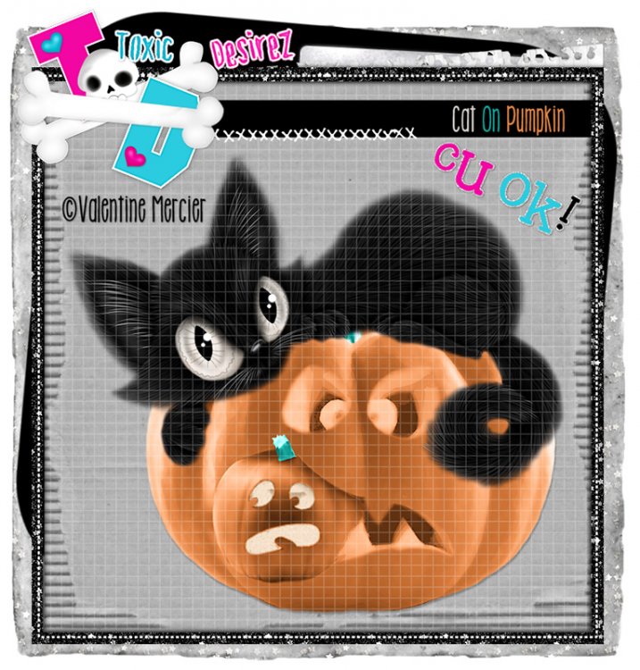 Cat On Pumpkin 2 - Click Image to Close