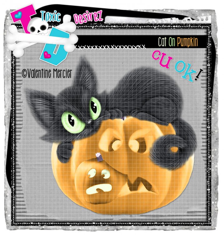 Cat On Pumpkin 5 - Click Image to Close